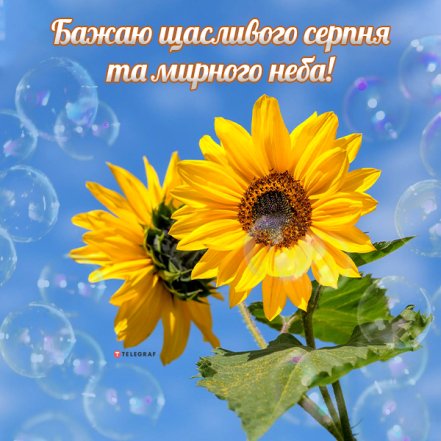 С начала августа — хорошие поздравления и праздничные картинки