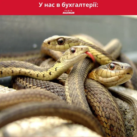 Міжнародний день бухгалтера