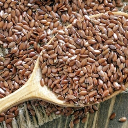 Як діє насіння льону на шкіру — користь, шкода