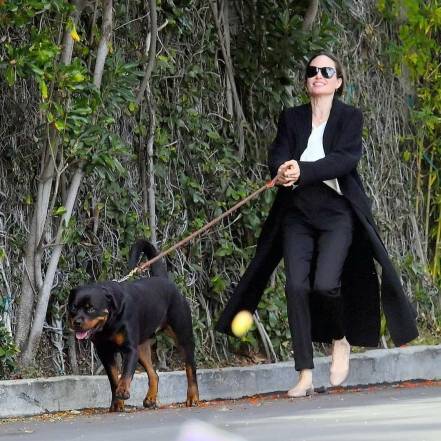 "Кто кого выгуливает?": новые фото Анджелины Джоли вызвали осуждения поклонников - фото №4