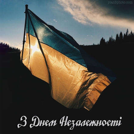Искренние поздравления с Днем Независимости Украины на украинском языке: пожелания своими словами и картинки - фото №1
