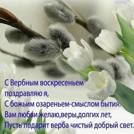 Поздравление с Вербным Воскресением 5 апреля