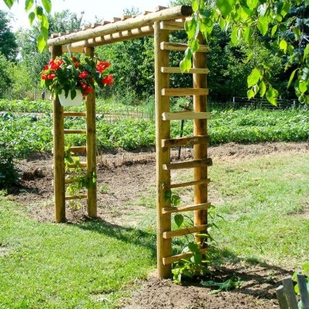 Як зробити шпалери для саду своїми руками