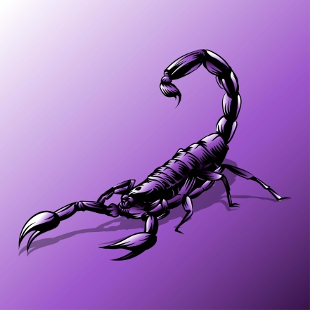 Скорпион - самый распространенный знак Зодиака в мире. А знаете, кто самый редкий? - фото №1