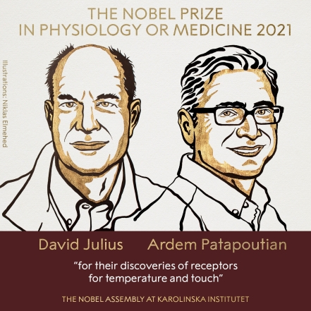 Нобелевская премия 2021: стали известны имена лауреатов в области физиологии и медицины - фото №1