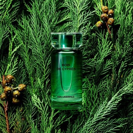 Мужские духи на осень для Девы.