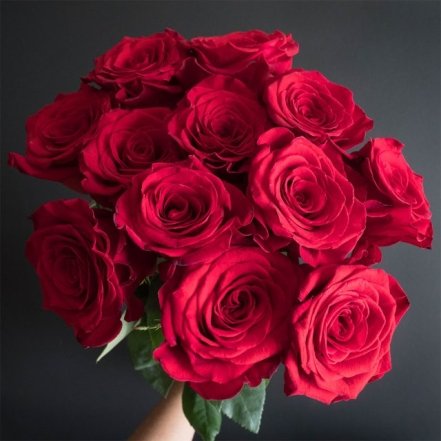 Самые красивые сорта красных роз