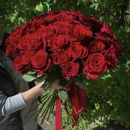 Самые красивые сорта красных роз