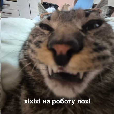 Лучшие шутки о работе