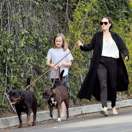 "Кто кого выгуливает?": новые фото Анджелины Джоли вызвали осуждения поклонников - фото №1