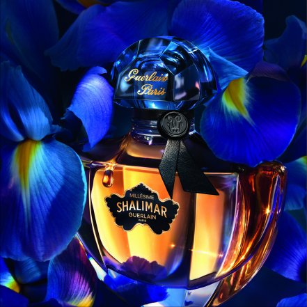 Guerlain Shalimar Millesime Iris, фото