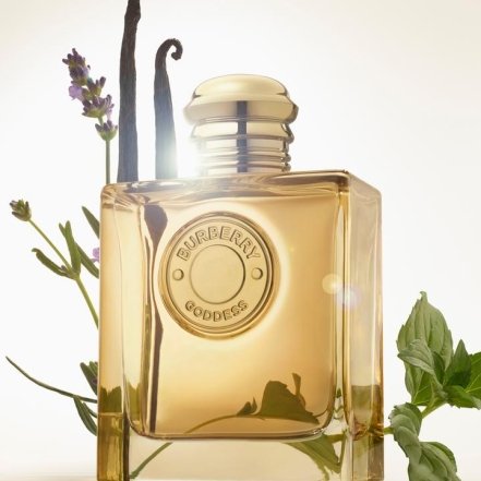 Burberry Goddess, фото