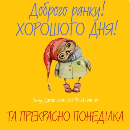 Гарного понеділка та плідного тижня! Позитивні картинки і побажання - фото №4