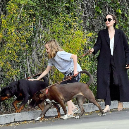 "Кто кого выгуливает?": новые фото Анджелины Джоли вызвали осуждения поклонников - фото №2