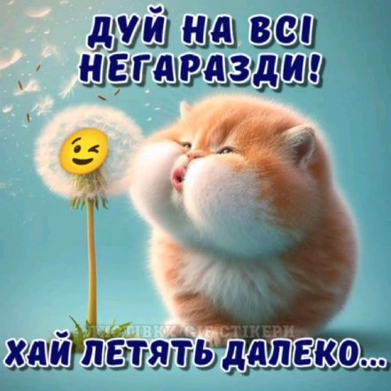 Найчесніший і найсмішніший прогноз