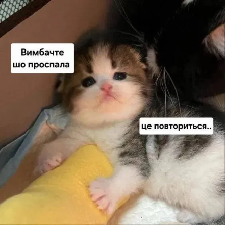 Жизненные мемы о работе в офисе