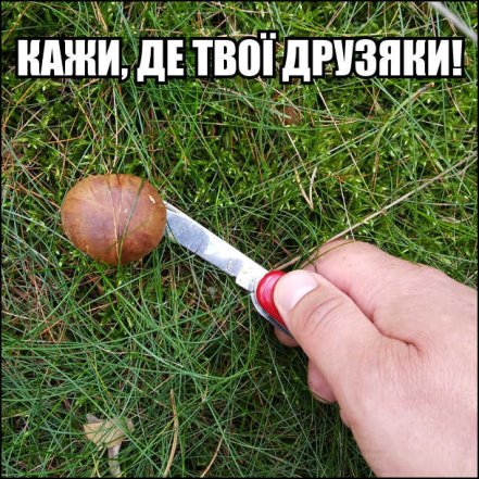 Анекдоты о тихой охоте