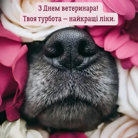 з днем ветеринара