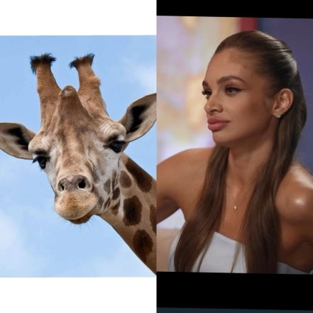 Шутки и мемы из Холостяка 14