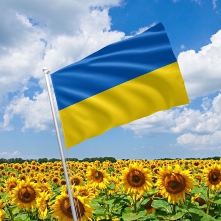 День утверждения Государственного Флага Украины: история сине-желтого знамени (ФОТО) - фото №10
