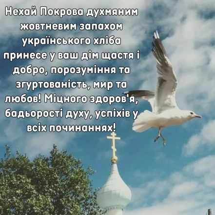 Особливе привітання у картинках та листівках