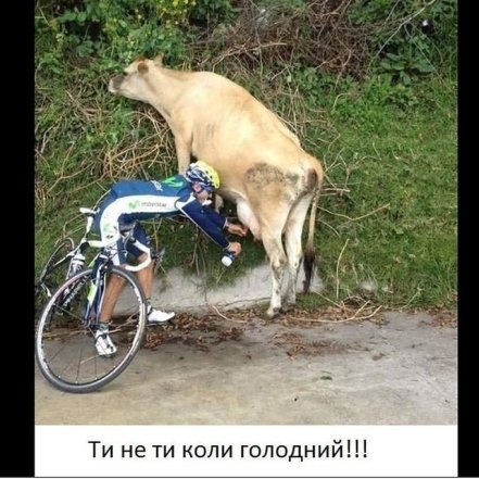 Позитив на каждый день