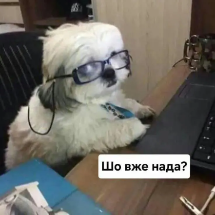 Жизненные мемы о работе в офисе