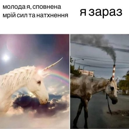 Шутки и юмор о жизни