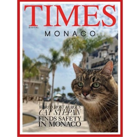Популярный на весь мир украинский кот Степан украсил обложку Times Monaco Magazine - фото №1