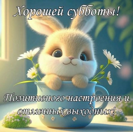 Мирной субботы 2025