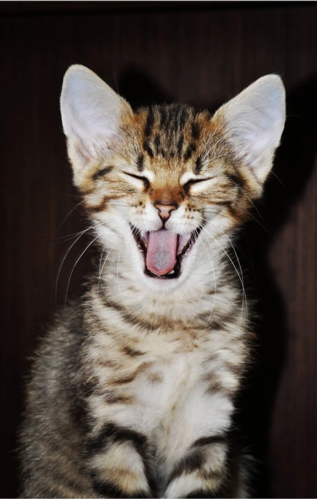 Заряд позитиву на весь день