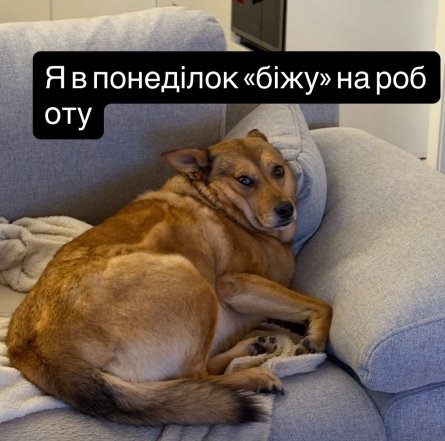 Жарти про понеділок та робочий тиждень