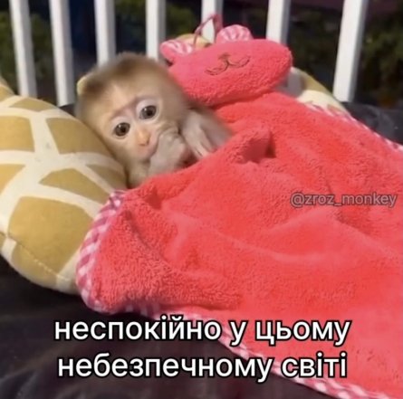 Мемы о тревожности и стрессе