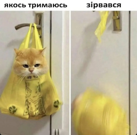 Самые смешные мемы о психотерапии
