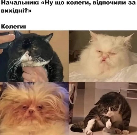 Лучшие шутки о работе