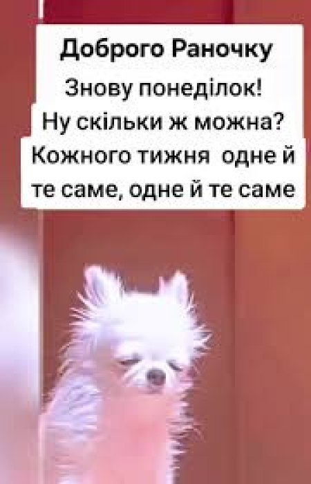 Жарти та гумор про перший день тижня