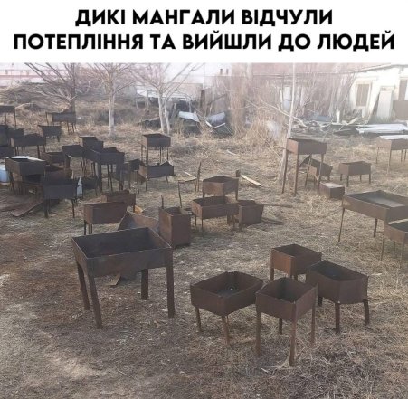Смішні картинки та жарти про жару