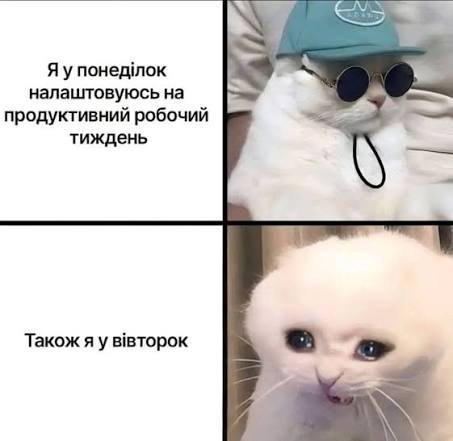 Приколы о вторнике и рабочих буднях