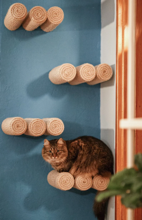 Коты — украшение интерьера: нестандартные варианты мебели для людей и животных (ФОТО) - фото №15