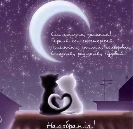 Как пожелать спокойной ночи девушке