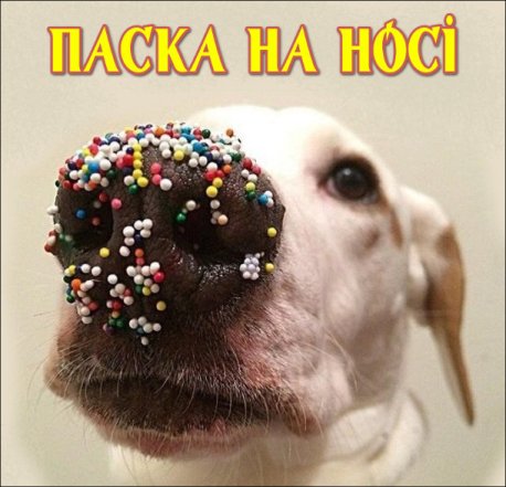 Гумор на Великдень 2026