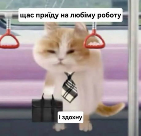 Свіжий гумор у картинках для гарного настрою