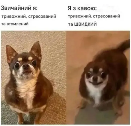 Мемы о тревожности и стрессе