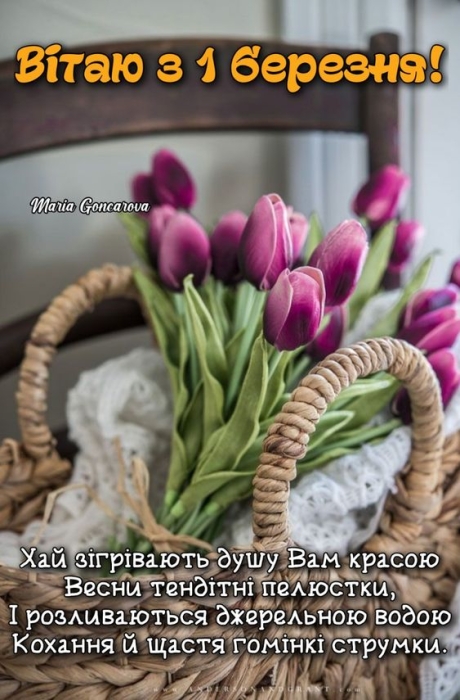 Букет тюльпанів у кошика, фото