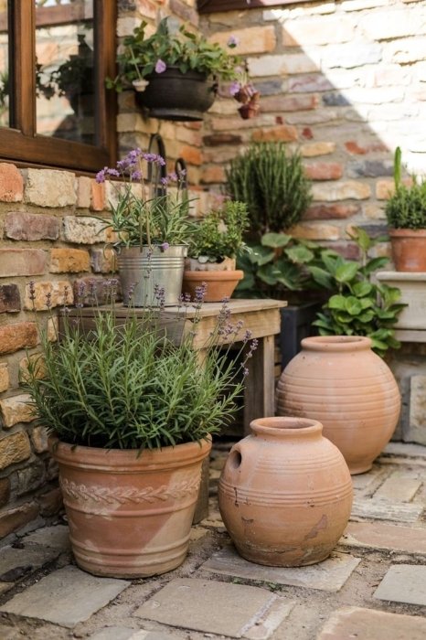 Почему нужно выбросить старые горшки для вазонов до Нового года