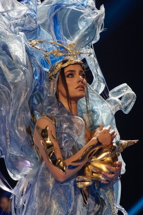 "Берегиня мать", "Снежная королева" и другие: самые необычные национальные костюмы на "Мисс Вселенная-2023" - фото №1