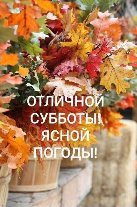 Пожелания хорошего выходного дня - фото и картинки витамин-п-байкальский.рф