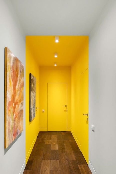 Нестандартний інтер'єр: як два кольори роблять ексклюзив зі звичайної кімнати (ФОТО) - фото №3