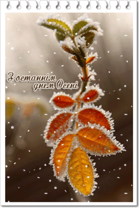 С последним днем осени! Лучшие пожелания и яркие открытки — на украинском - фото №3