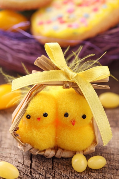 Маленькі іграшкові жовті курчата на Великдень, фото